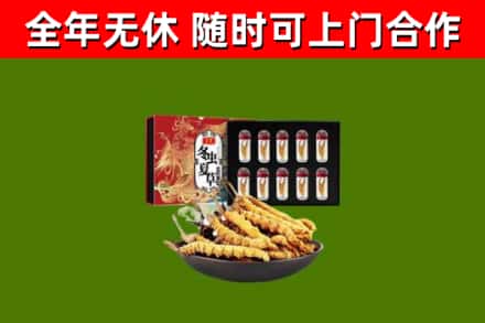 无棣县回收冬虫夏草价格