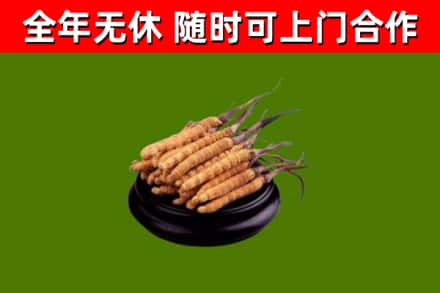 无棣县烟酒回收冬虫夏草.jpg